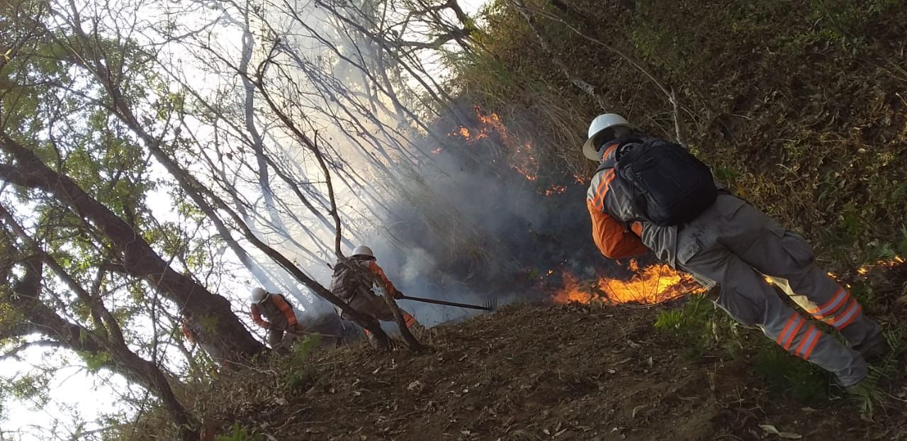 Protección Civil Chiapas arranca con acciones de prevención y reducción de riesgos de incendios