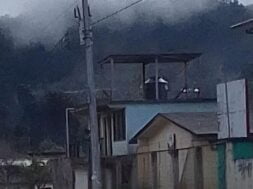 OXCHUC (2)