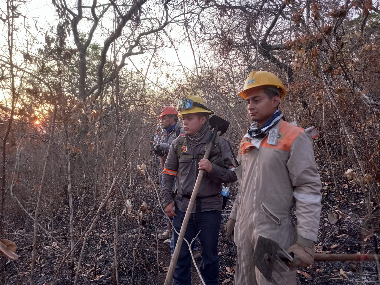 Sofocan incendio en el cerro Mactumatzá