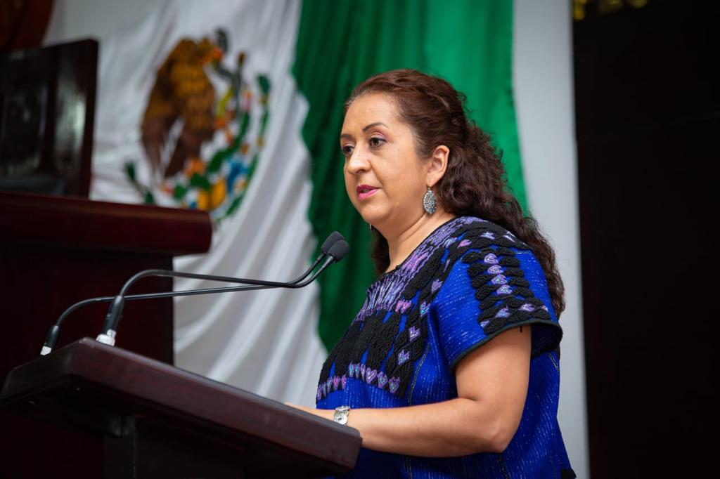 Generar inclusión y transparencia en información que se brinda a pueblos indígenas: Karina Del Río