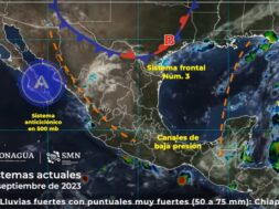 4d537088-0b1a-431d-85a3-46590a216303