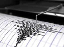 fd7f0417-54bd-4d15-8f7e-6f31e67a310f