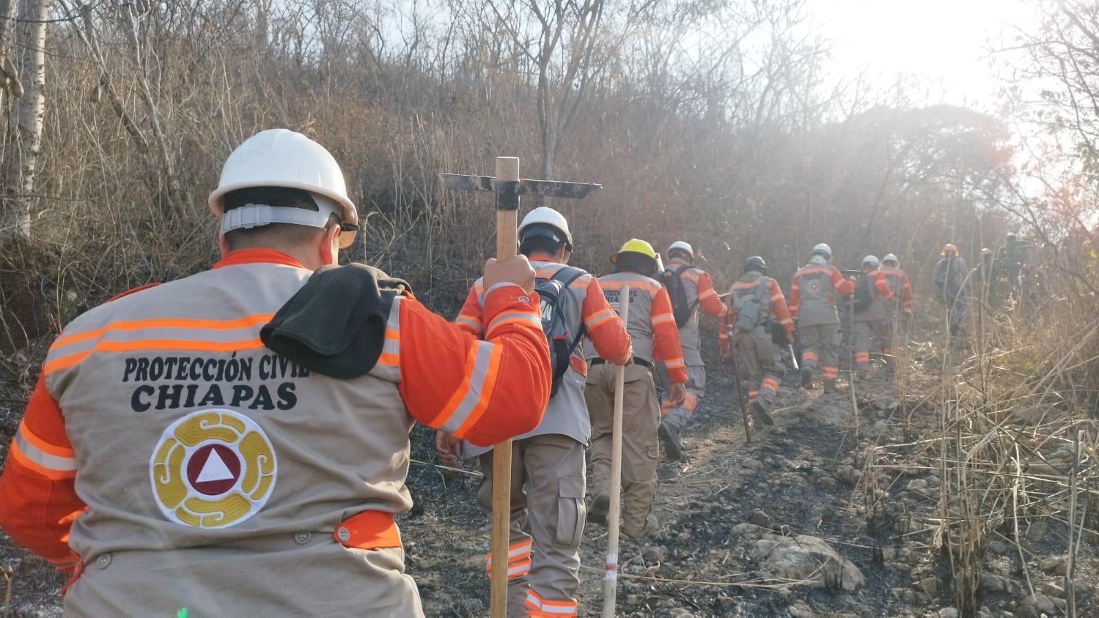 Con efectiva coordinación interinstitucional se reducen afectaciones por incendios.