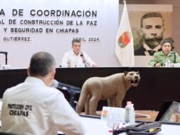 c7ec376c-5d7c-4dc1-aad8-43e54ed19411