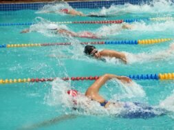 17e6b3c9-10d8-4173-9a60-77898166a676