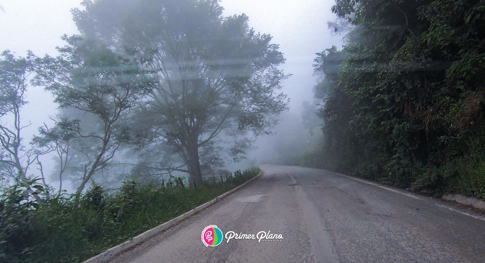 Carretera Entre Niebla y Bosques