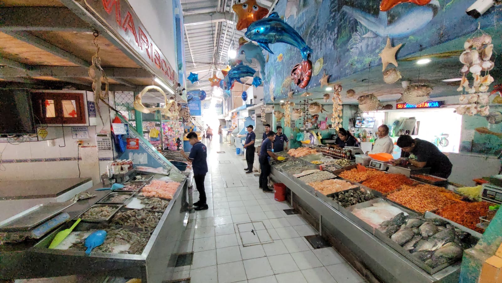 Mariscos opción para el festejo patrio