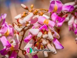 4510b39a-3c7f-4008-bf1d-6986914ee280