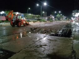 bd313d43-2dd8-4312-a7ab-f1fdd2fe93e9