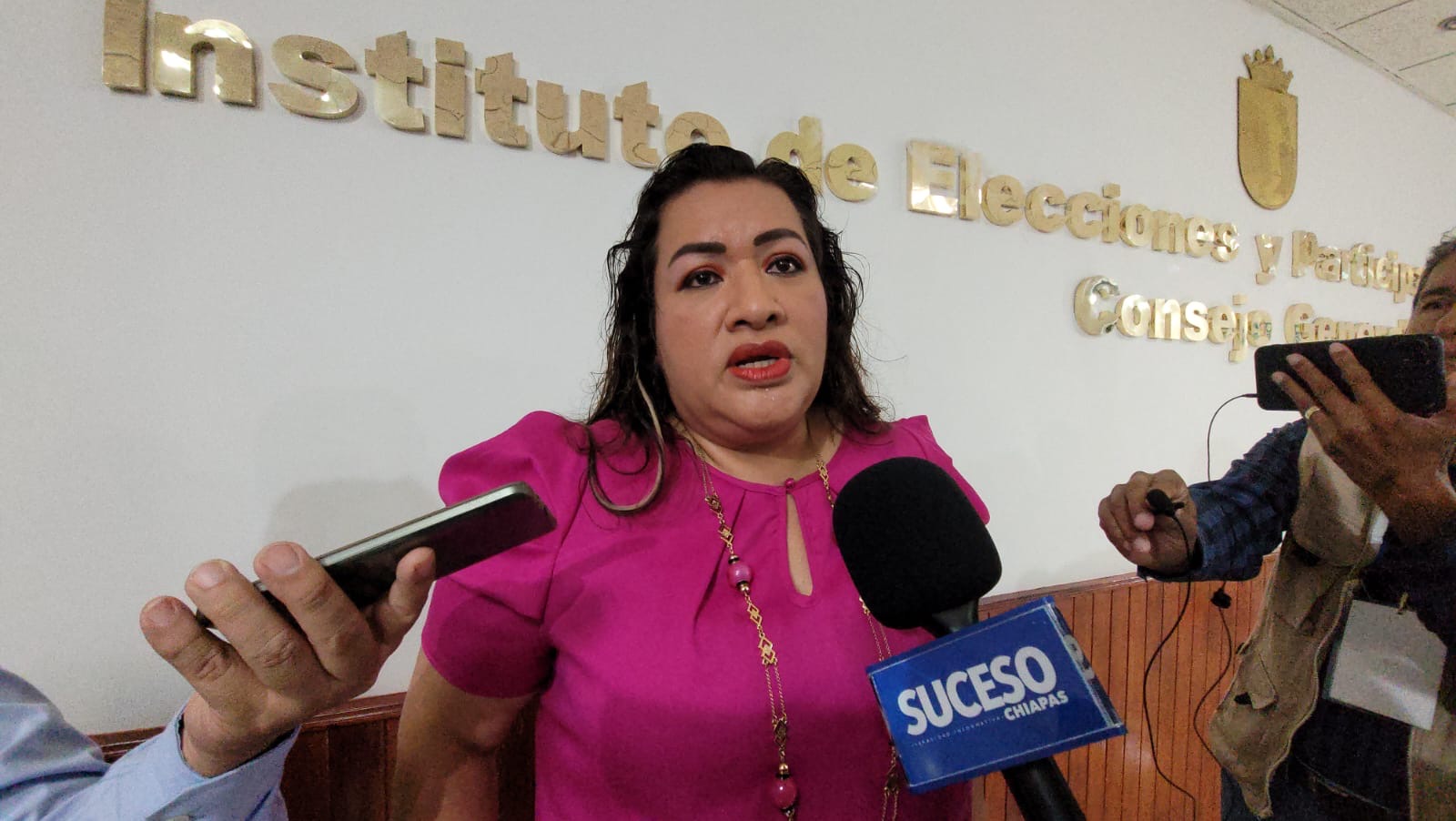 El IEPC ha cumplido de forma positiva: Vila