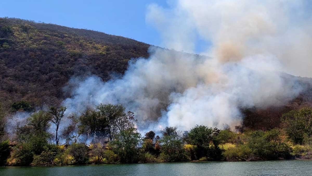 Seis regiones de Chiapas con riesgo de incendios