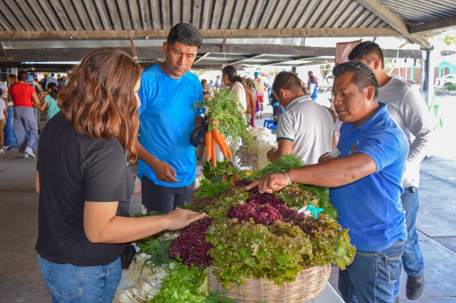 Conanp realiza el 1º Tianguis Agroecológicoen el Parque Nacional Lagunas de Montebello