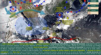 fe46faf6-0156-4162-91f3-7d5ce0359bb1