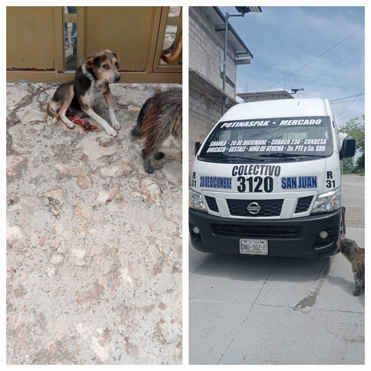 Operadores del transporte un riesgo en Tuxtla, denuncian