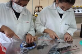 4750feda-d35d-4778-896e-d9d5b3513d6f