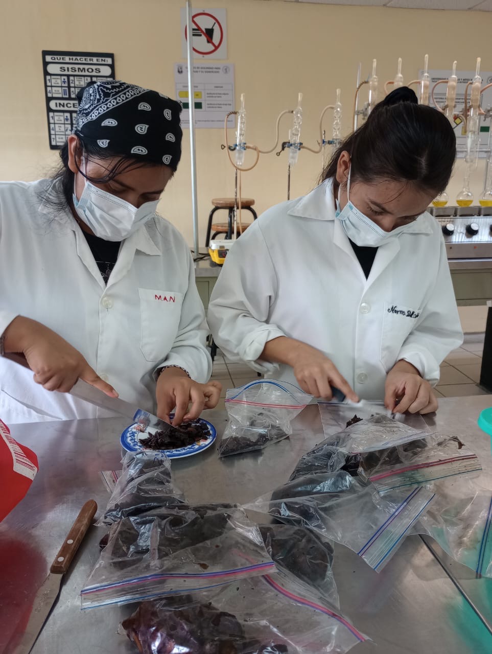En UNICACH investigan propiedades del fruto Tridimeris chiapensis