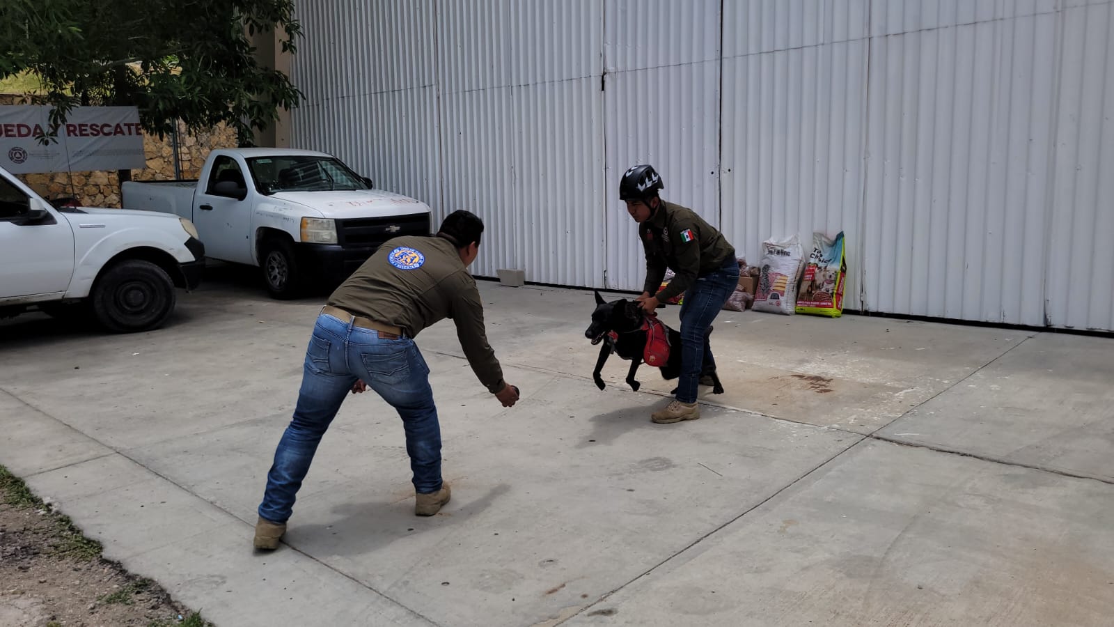 Unidad Canina de PC, con gran labor en Chiapas