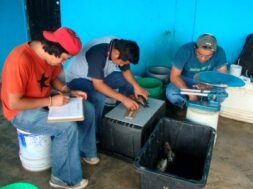 38b84263-db20-470a-b006-09e20f29ab50