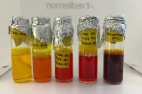 4949c351-aa13-4a47-9971-4aad463e0f29