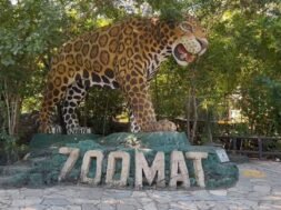 52502b91-e2a7-4fdb-8c79-68200157a2b7