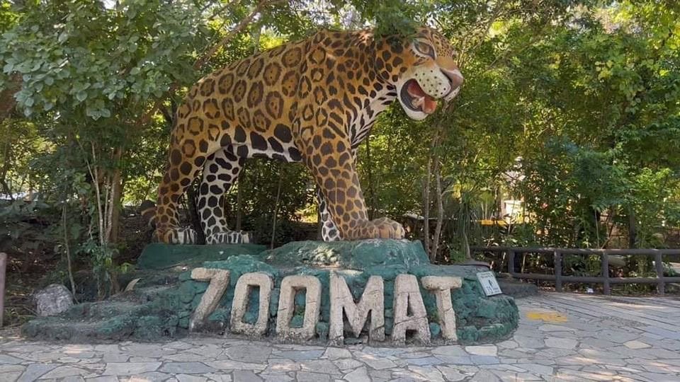 Comunicado oficialZooMAT – Zoológico Miguel Álvarez del Toro