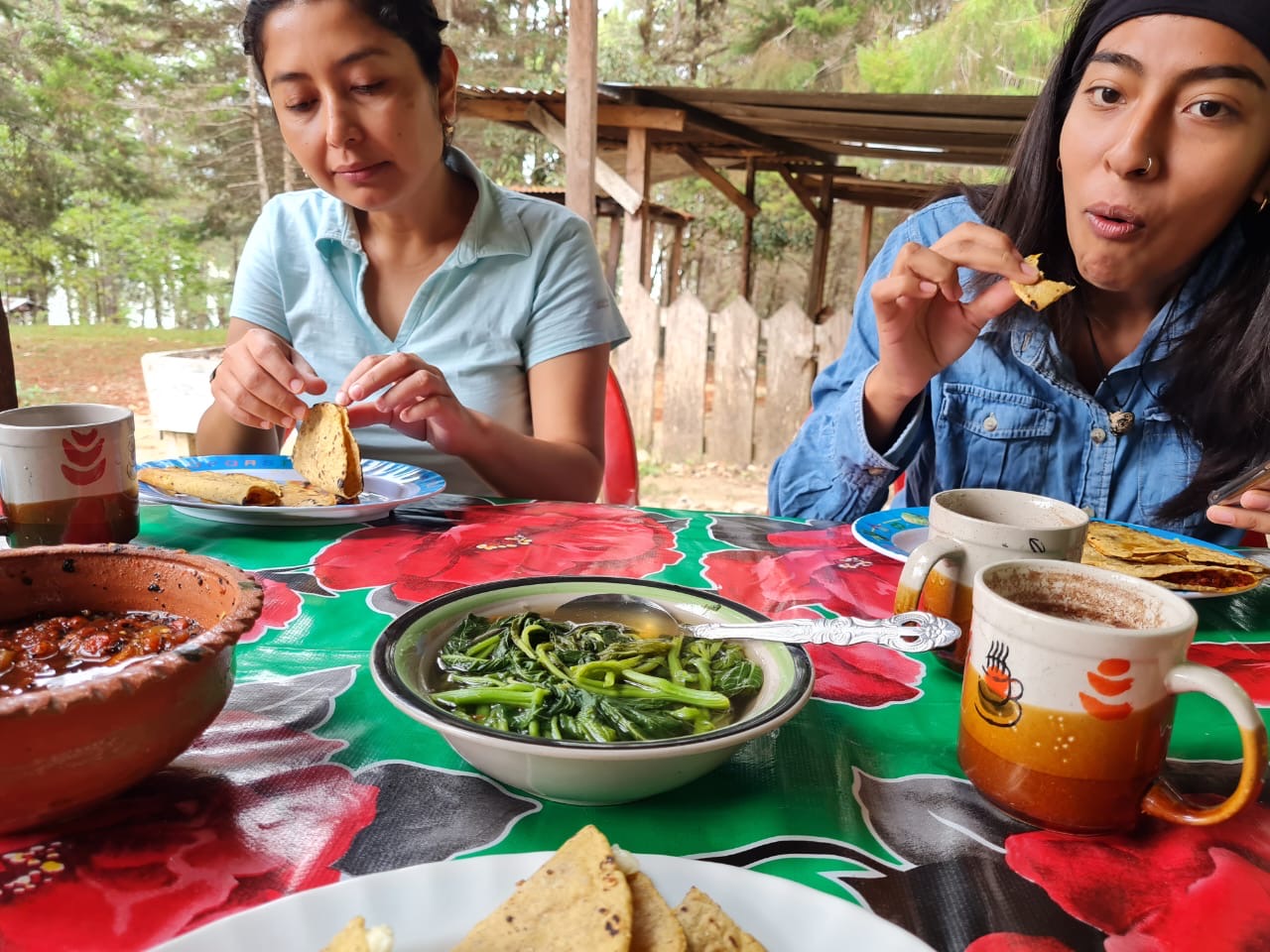 Promueven alimentación tradicional en MontebelloColaboración entre UNICACH, Universidad de Arizona y pobladores