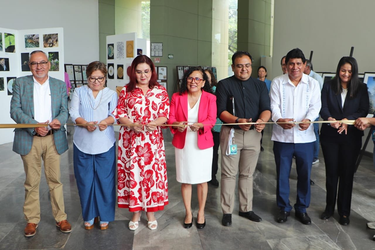 40 años de ciencia y formación: UNICACH celebra la Semana de la BiologíaICBIOL contribuye a consolidar formación integral e investigación científica: Rectora