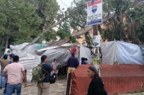 d2382440-6959-4a2f-b5a1-b1fffee4352d