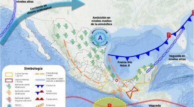 d11ed91e-23ce-4e0c-b458-9de814c55d38